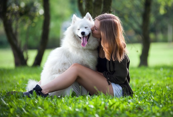 6 Ways to Spend Quality Time Outside with Your Dog from Ormond Beach Vets