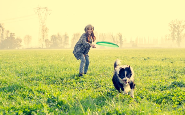 4 Reasons Why Playing with Your Pet is Important