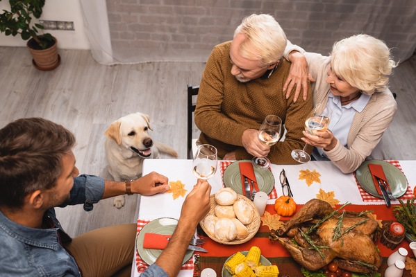 4 Ways to Ensure Your Pet’s Safety This Holiday Season