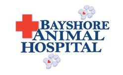 Bayshore Animal Hospital